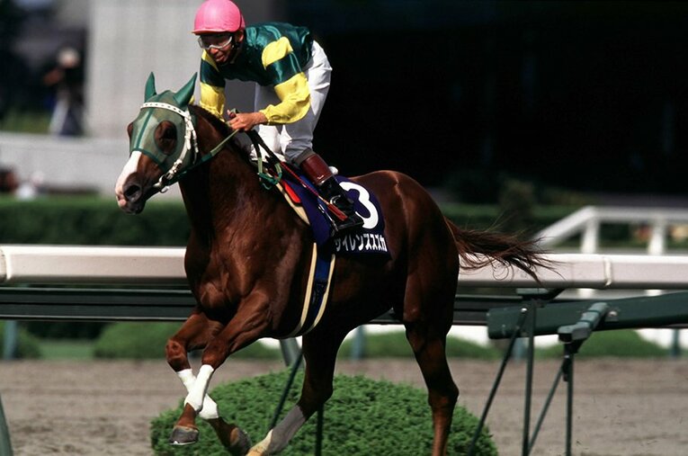 サイレンススズカ©Tomohiko Hayashi