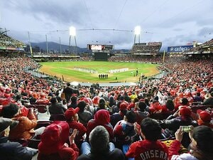 マツダスタジアムで感じる一体感。そのお供に必要な「目」とは?