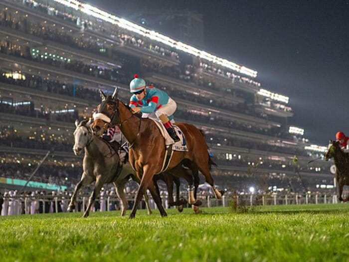 アーモンドアイがドバイで4億円!海外GIも難なく勝利、目は凱旋門へ。<Number Web> photograph by REX/AFLO