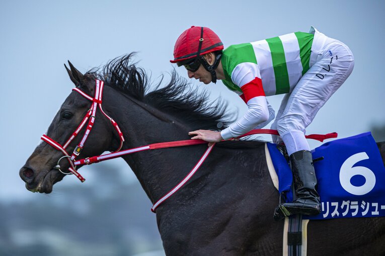2019年の有馬記念を圧勝し、年度代表馬に輝いたリスグラシュー　©BUNGEISHUNJU