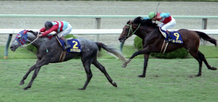 タマモクロスはニッポーテイオーに2馬身半の差をつけてゴールを駆け抜けた　©Sankei Shimbun