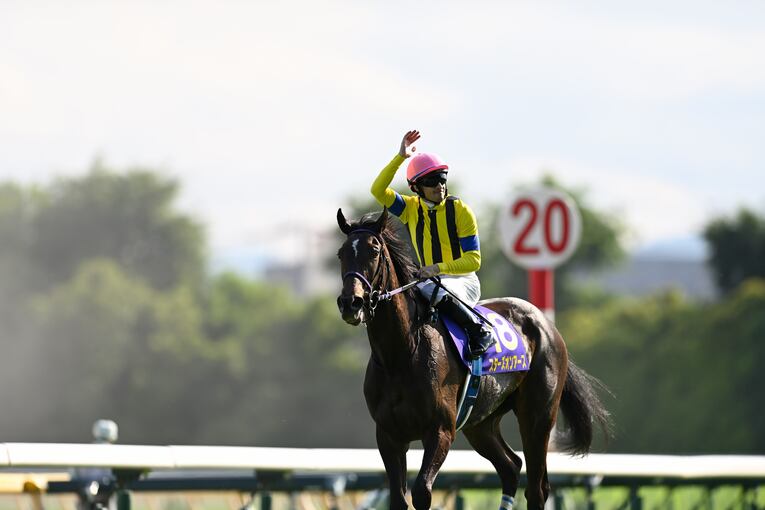 オークス直前に顔面を蹴られて放馬…発走“15分の大遅延”はなぜ起きたのか？「多くの馬の戦いは、スタート前に終わってしまった」(9)