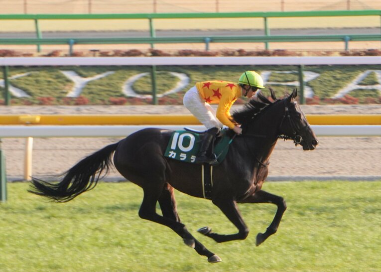 昨年の東京新聞杯を制した際のカラテ　©Satoshi Hiramatsu