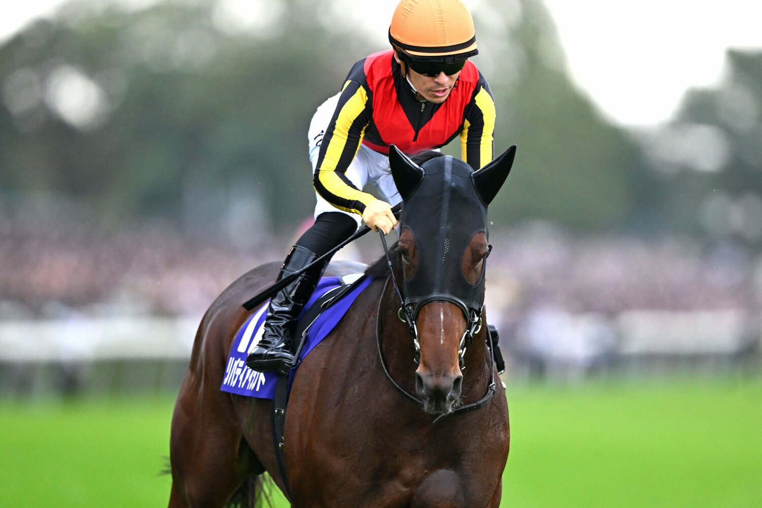 昨年は3戦して未勝利に終わったリバティアイランド　©Keiji Ishikawa