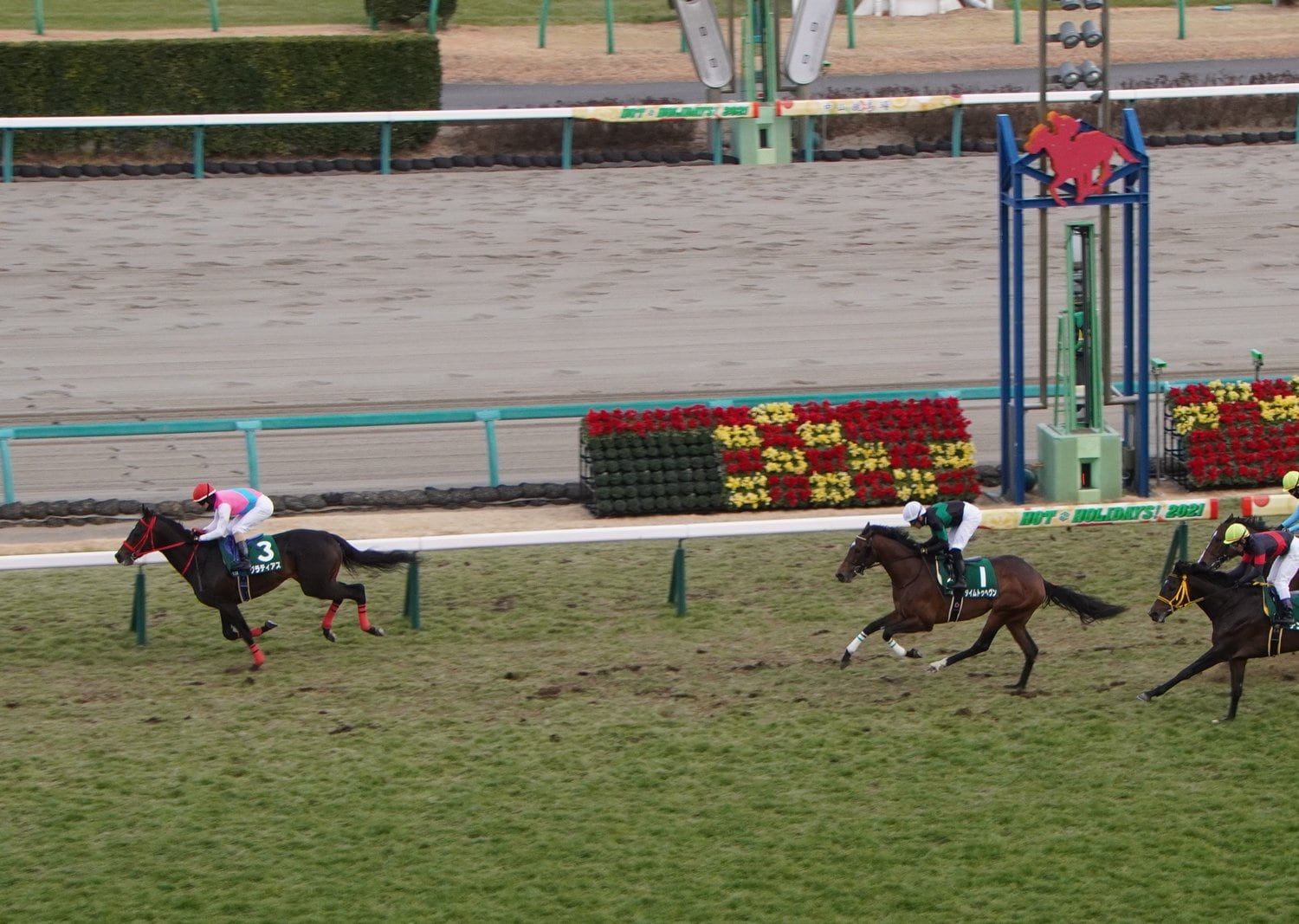 グラティアスだけがタイムトゥヘヴンをかわした