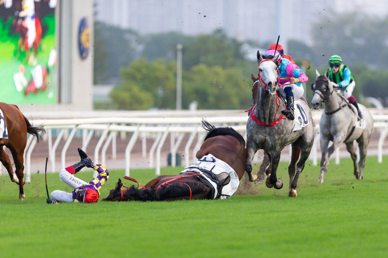 危険な「人馬転」の瞬間。馬が転倒し、騎手が前方に投げ出されている　©Getty Images