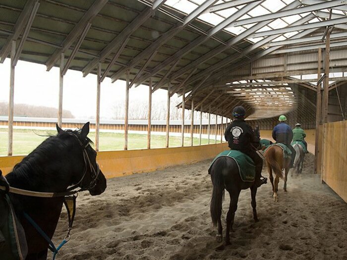 競馬界で一人勝ちの超巨大牧場。ノーザンファームの内部に潜入！＜Number Web＞ photograph by Asami Enomoto