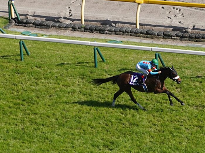 上半期GI戦線総括。最大の衝撃はコントレイルかアーモンドアイか。＜Number Web＞ photograph by Representative