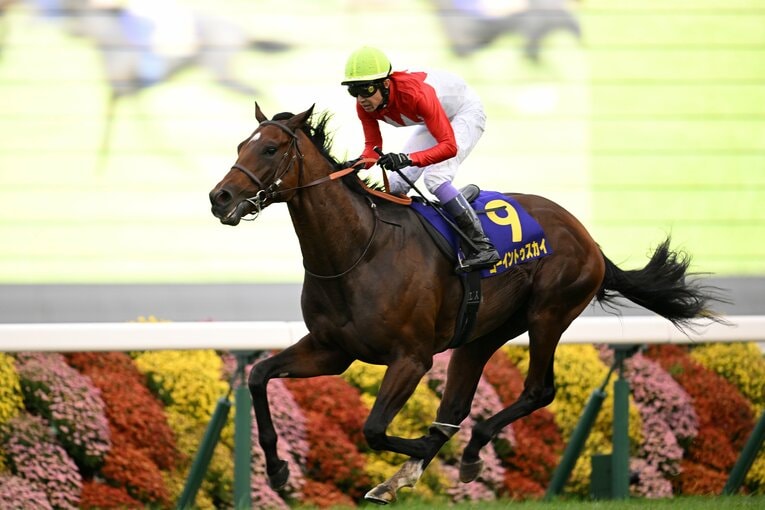鼻差で菊花賞を制したゴーイントゥスカイと武豊　©Keiji Ishikawa