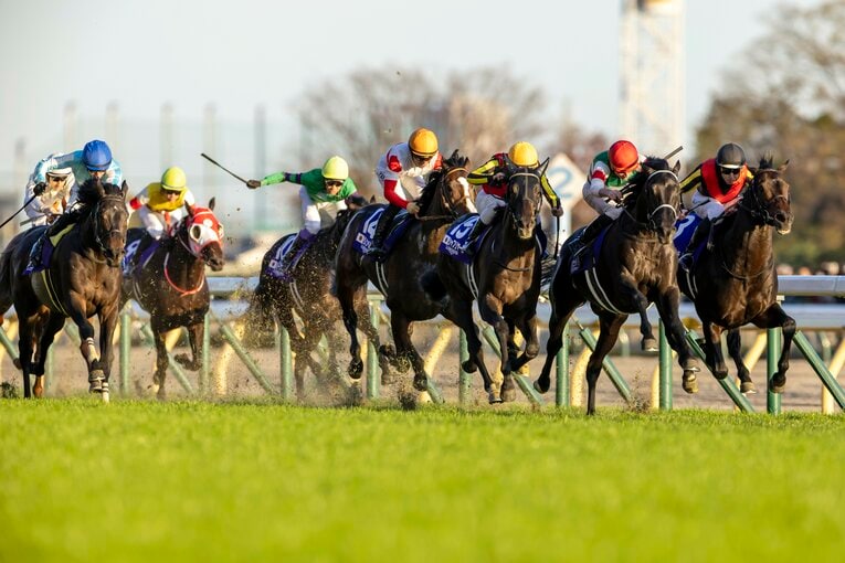 狭いところを突き抜けてきたヴェラアズール　©Photostud