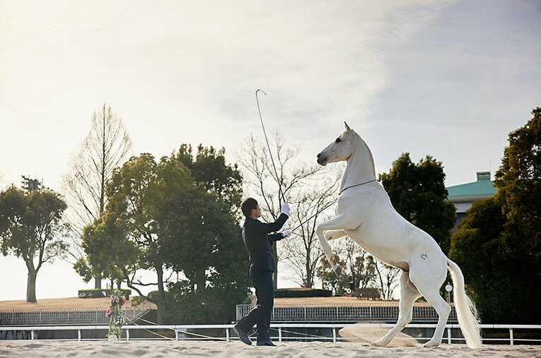 ホワイトワンボーイと“呼吸”を合わせて演じる富塚剛氏。迫力あるレースとはまた違った馬の魅力を味わえる ／ photograph by Yusuke Nakanishi