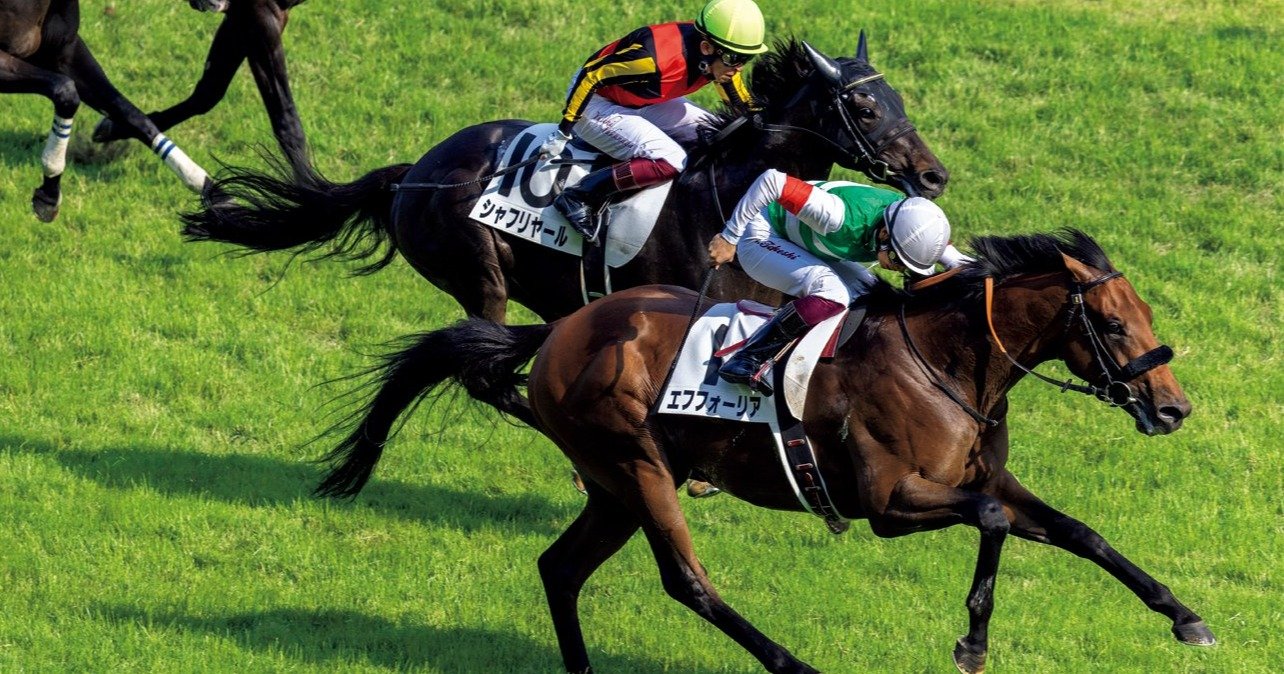 勝たなくてはいけない馬になっていた」ダービー圧倒的1番人気エフ