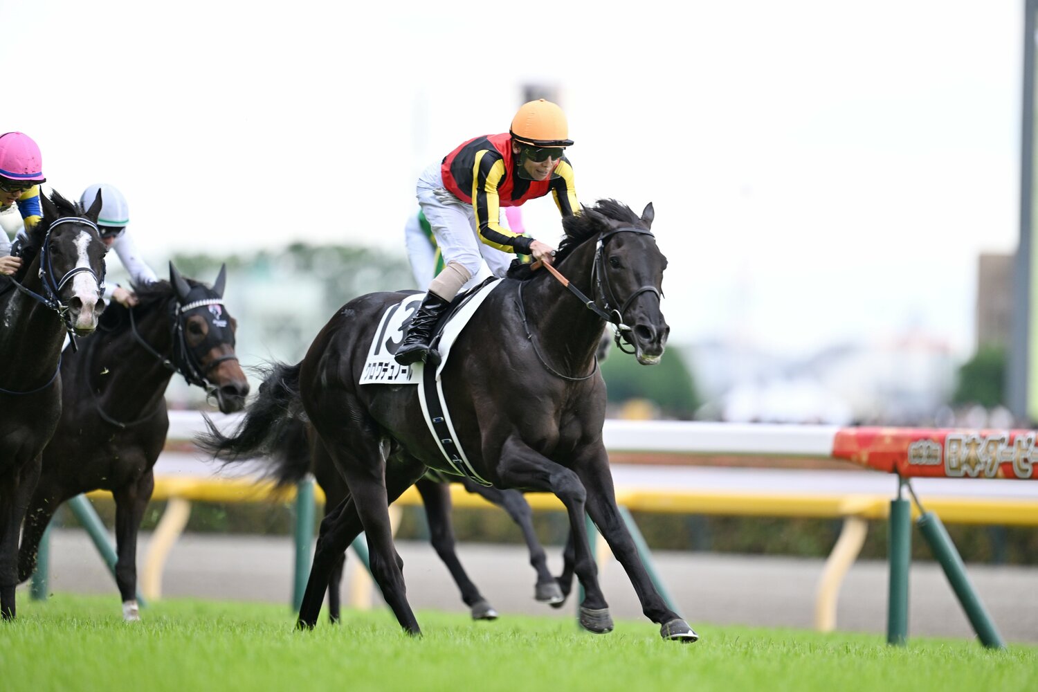 今年のダービーを制したクロワデュノールと北村友一　©Keiji Ishikawa