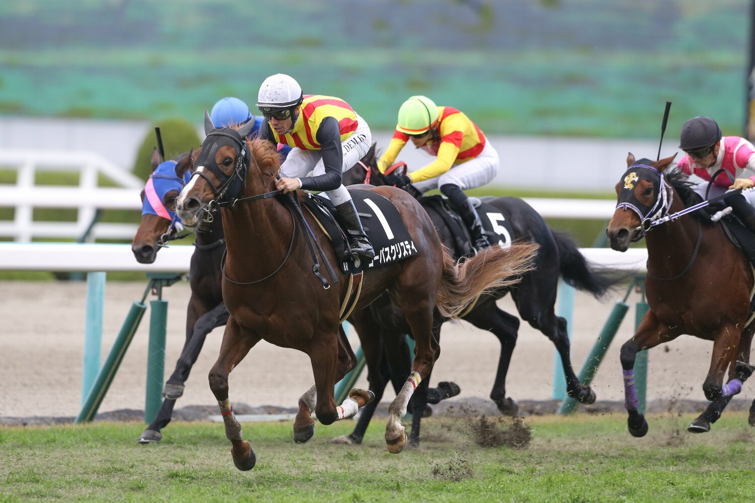 11月の秋明菊賞で強烈な勝ちっぷりを見せたコーパスクリスティ ©︎AFLO
