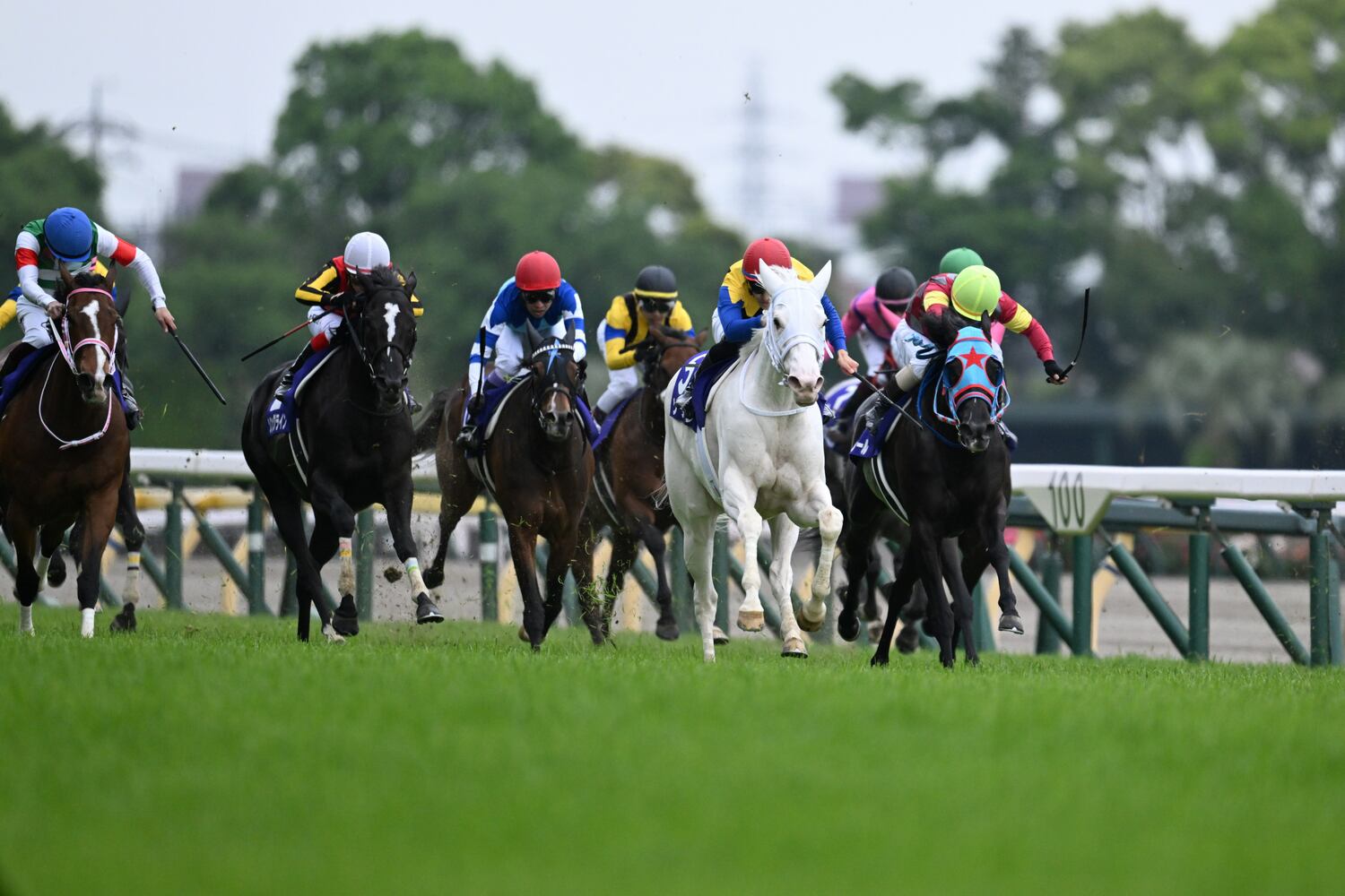 昨年のヴィクトリアマイルを制した時のソダシ　©Keiji Ishikawa