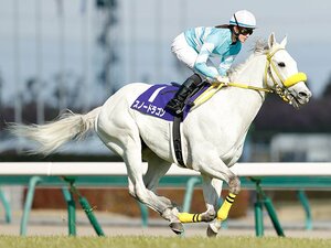 <Have a Dream 夢追い人の挑戦>藤田菜七子が騎手として過ごす日々。