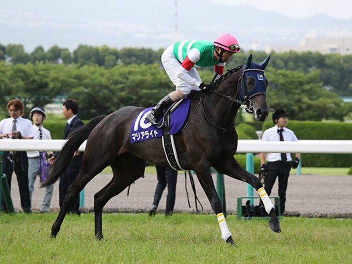 エリ女は「格上が絶好調なら鉄板」。連覇が多いのも、マリアライトに風。＜Number Web＞ photograph by Yuji Takahashi