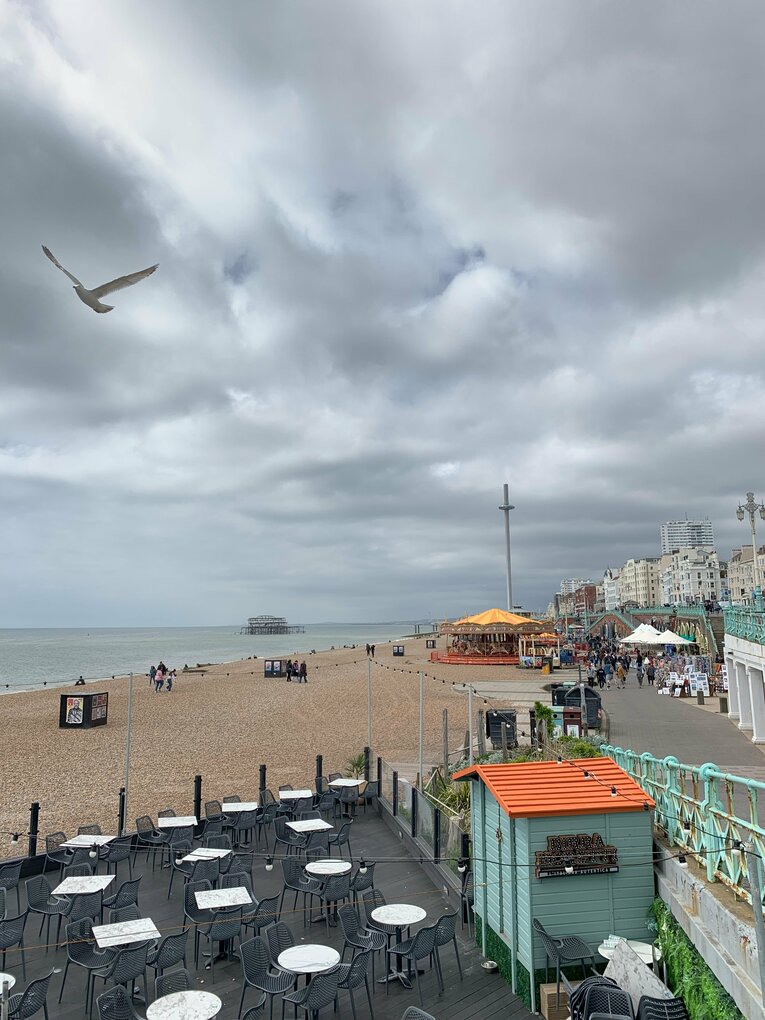 ブライトンのロゴにあるカモメは、本当によく飛んでいる（1／3枚）　©Yoichi Igawa　