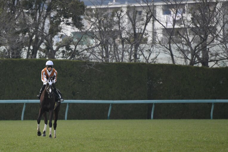 レースを終えて引き上げるエルデスペラード号と幸英明騎手　©Masashi Hara