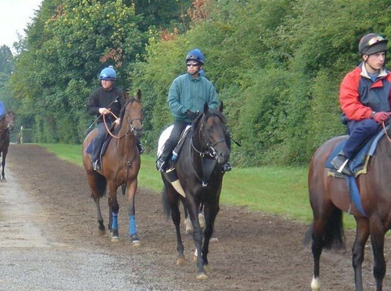 05年インターナショナルS挑戦時のゼンノロブロイと鹿戸騎手（当時）（写真中央）　©Satoshi Hiramatsu