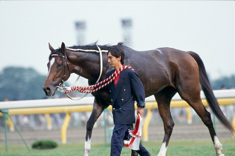 トウカイテイオー