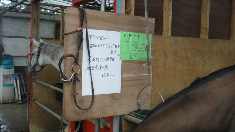 相馬中村神社に引き取られたアシヤビート