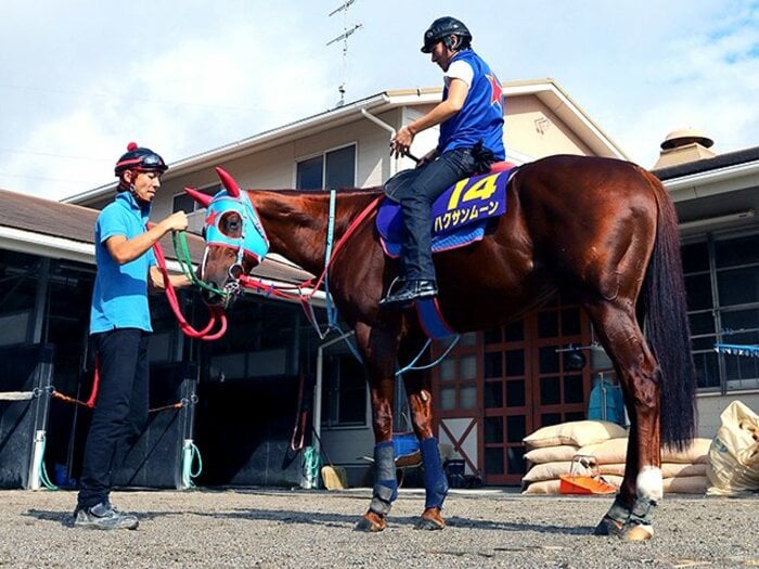 12年ぶり新潟開催のスプリンターズS。混戦の短距離路線、カギは脚質か。＜Number Web＞ photograph by Yuji Takahashi