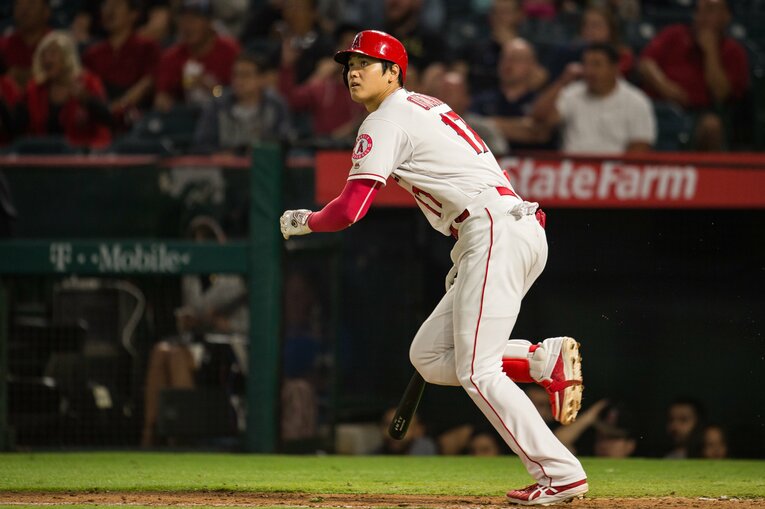 2018年　©Nanae Suzuki