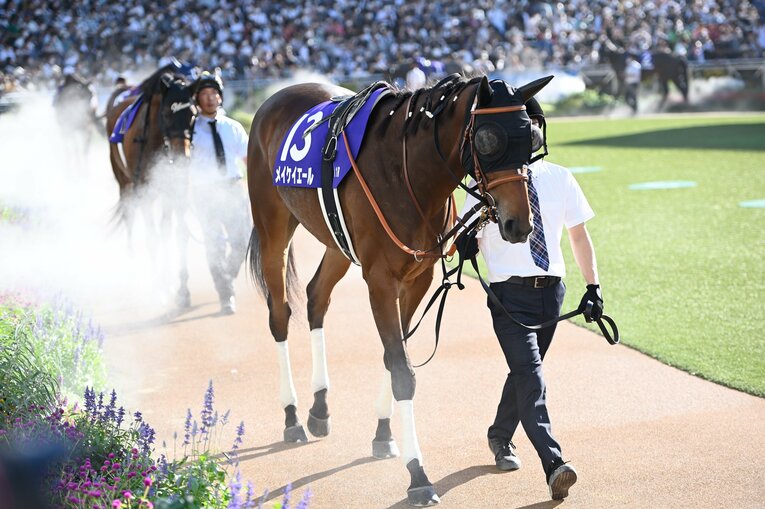 1番人気メイケイエールはなぜ不発に終わった？ 波乱のスプリンターズS、「すべての展開が味方した」ジャンダルムが生んだ“血のドラマ”(6)