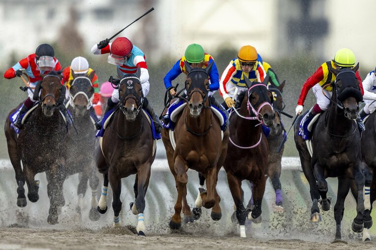 石川の右鞭にこたえ、テーオーケインズの後ろから豪快に伸びるジュンライトボルト　©Photostud