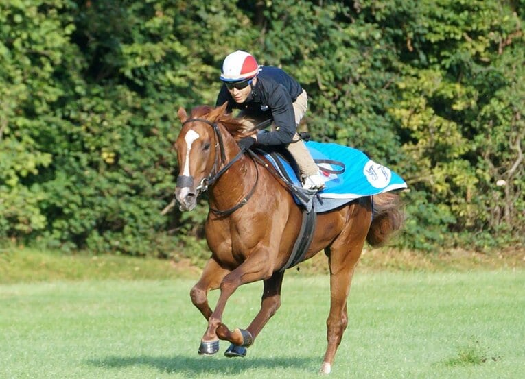 藤岡佑介騎手とオルフェーヴル　©Satoshi Hiramatsu