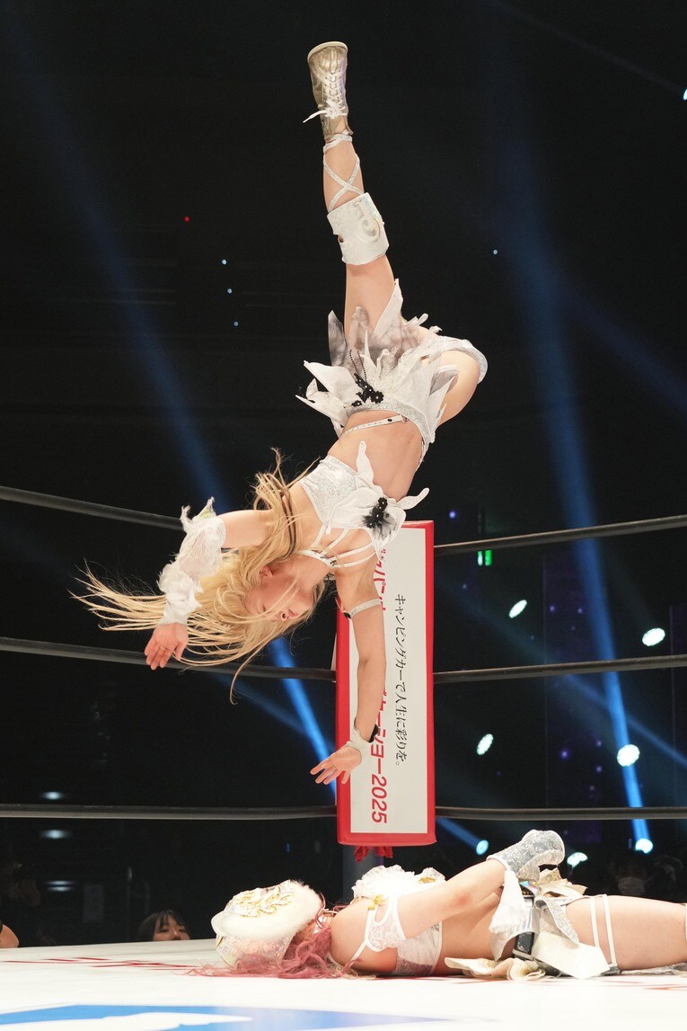 なつぽいのフェアリアルギフト　©Essei Hara