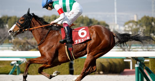 img_19169da299294dc02c13df711c