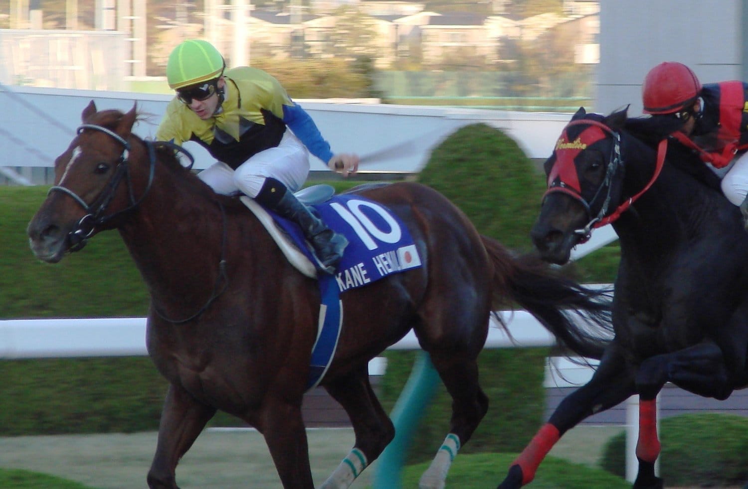 JCダートでのカネヒキリ　(C)Satoshi Hiramatsu