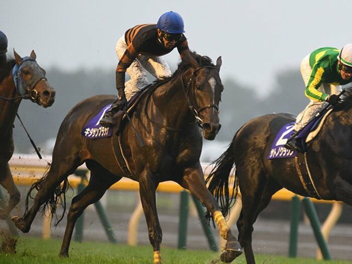 天皇賞激走はJCの不安要素か否か。キタサン＆武豊、叩き2戦目の法則。＜Number Web＞ photograph by keiji Ishikawa