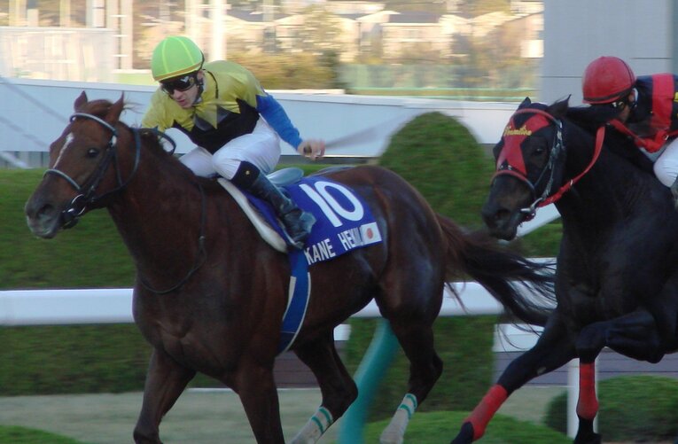 JCダートでのカネヒキリ　(C)Satoshi Hiramatsu