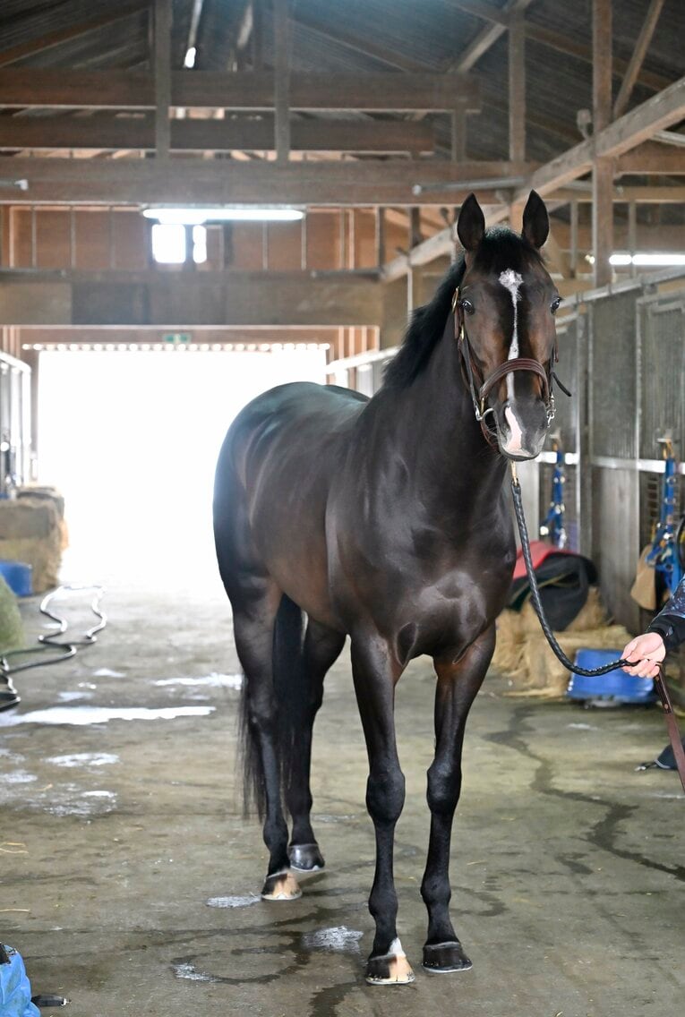 「僕とタイトルホルダーは折り合えるんだ」 横山家の長男・横山和生（29）が明かした天皇賞・春への自信と“父・典弘からのアドバイス”(27)