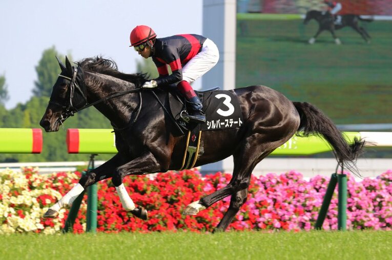 1年7カ月ぶりのレースを3馬身差で圧勝したシルバーステート。福永祐一は同馬のエンジンパワーを「今までで間違いなく一番」と絶賛した ／ photograph by Yuji Takahashi