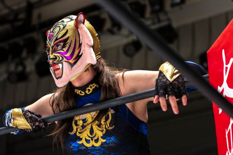 デビュー3戦目を迎えたタイガー・クイーン