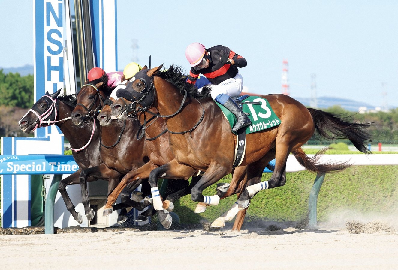 今年9月27日のシリウスS（GIII）を制したホウオウルーレット（手前）　NIKKAN SPORTS