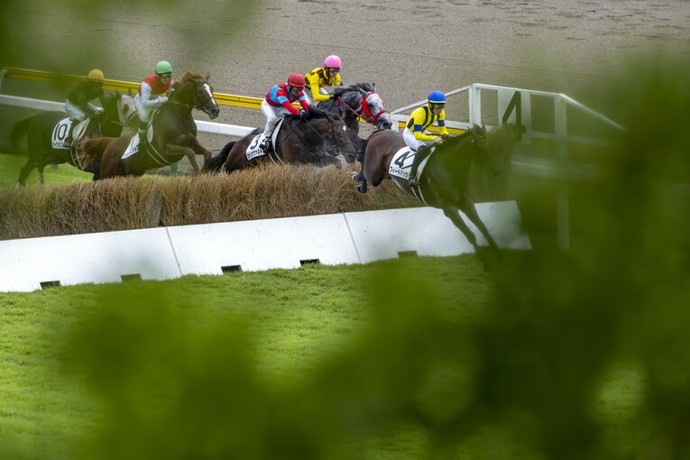 新潟競馬場 ／ photograph by photostud