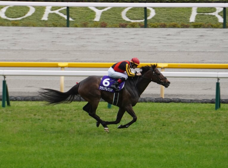 天皇賞・秋にも出走するグランアレグリア　©Satoshi Hiramatsu