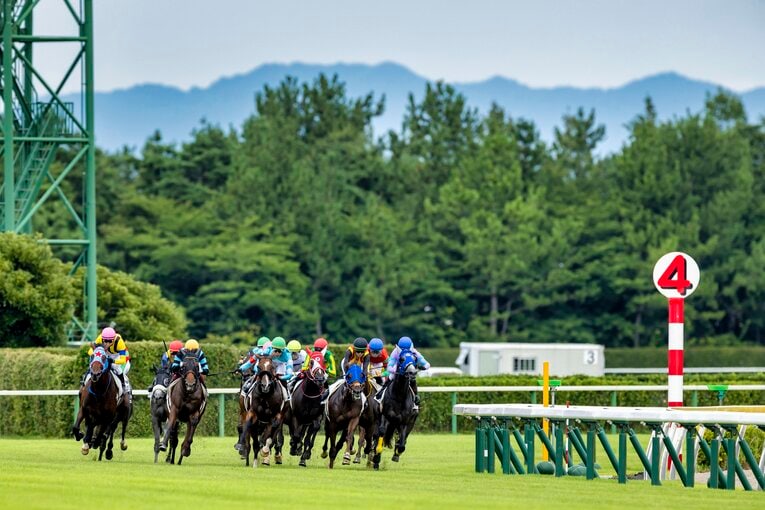 新潟競馬場 ／ photograph by photostud