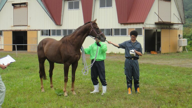 線量測定を行うメジロマイヤー（2011年）