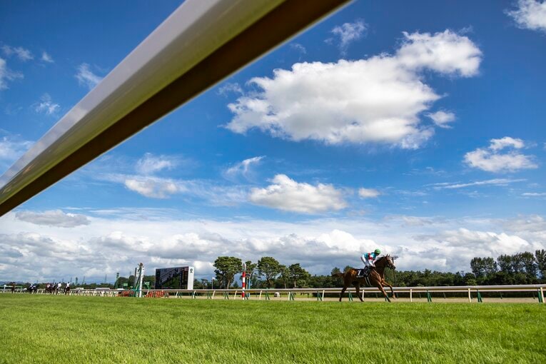 新潟競馬場 ／ photograph by photostud