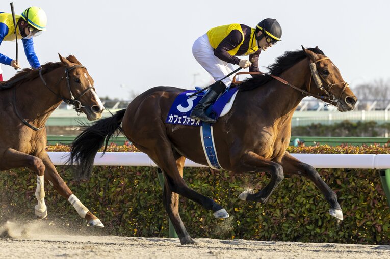 昨年のフェブラリーステークスを制したカフェファラオ　©Photostud