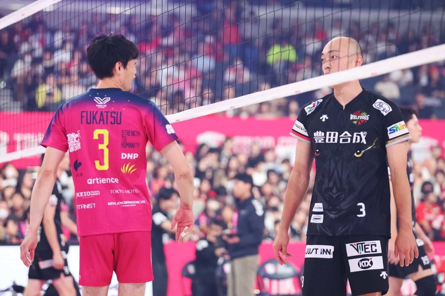 SVリーグ開幕戦で実現した“兄弟セッター対決”。兄・旭弘（37歳）がパリ五輪に出場したこともあり、例年以上に注目が集まった　©︎YUTAKA/AFLO SPORT