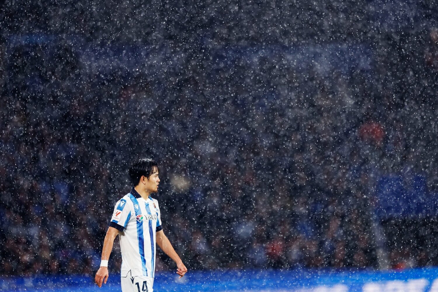 雨で視界は白く滲むほど