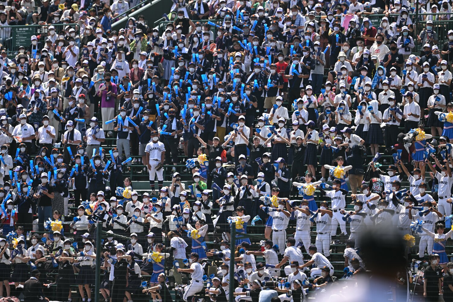 有観客となった今年夏の甲子園のスタンドにもチアリーダーの姿が　©Nanae Suzuki
