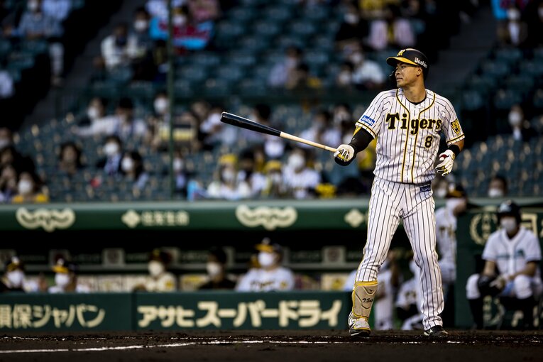 ©︎Kiichi Matsumoto